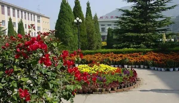 有关美丽校园三年级作文汇总9篇,美丽的校园作文500字左右五年级