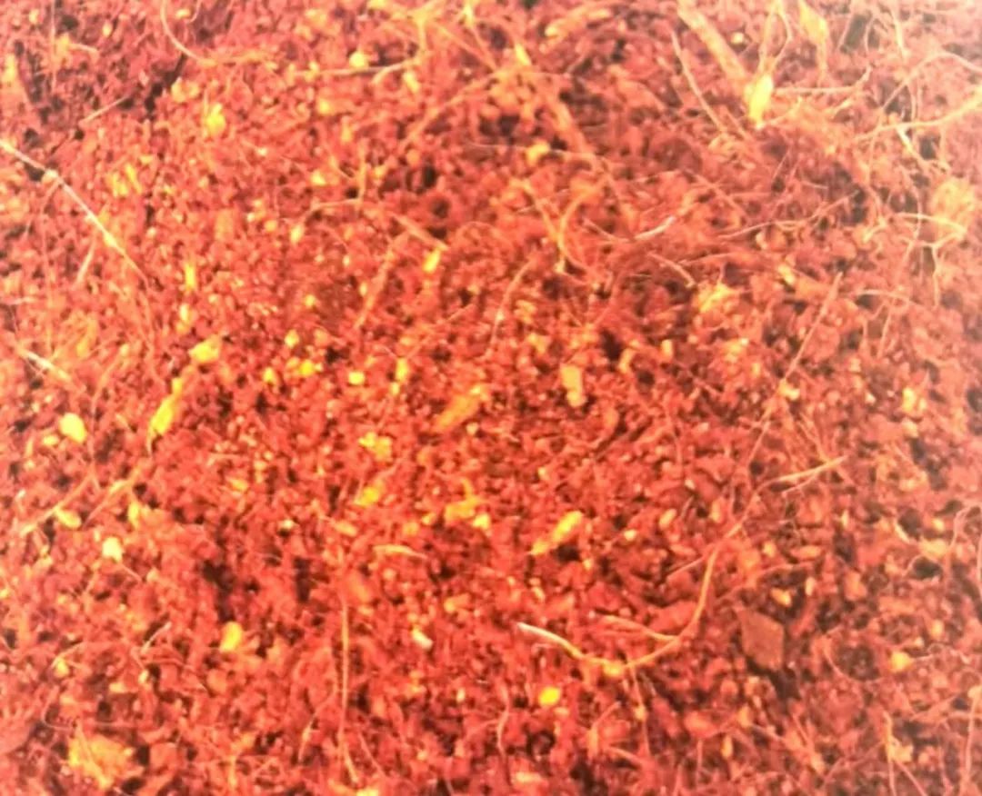 养兰植料要因地制宜,养兰花植料技术管理视频