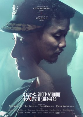 电影误杀推荐大片9.0以上评分,误杀同类型国产电影推荐