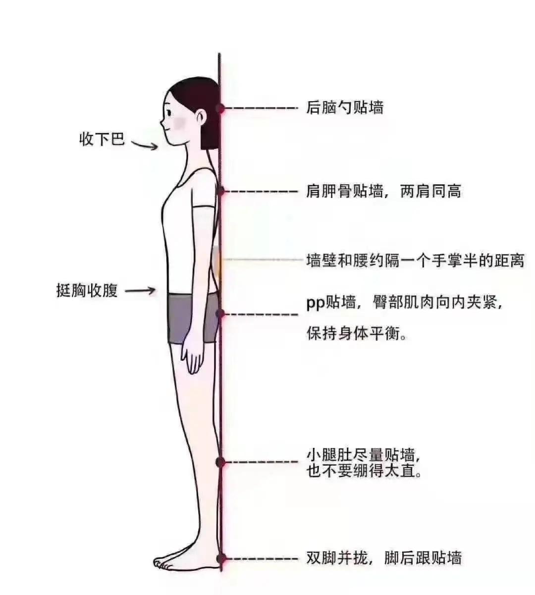为什么体态比颜值重要,常见的9大不良体态问题