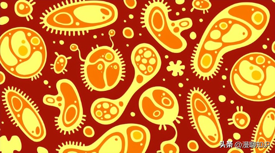 猫会感染人的疾病的图片,猫病毒检测cpr可以测出什么病毒