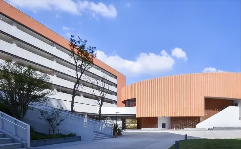 东大发不雅照院长已免职,东南大学袁久红处理结果