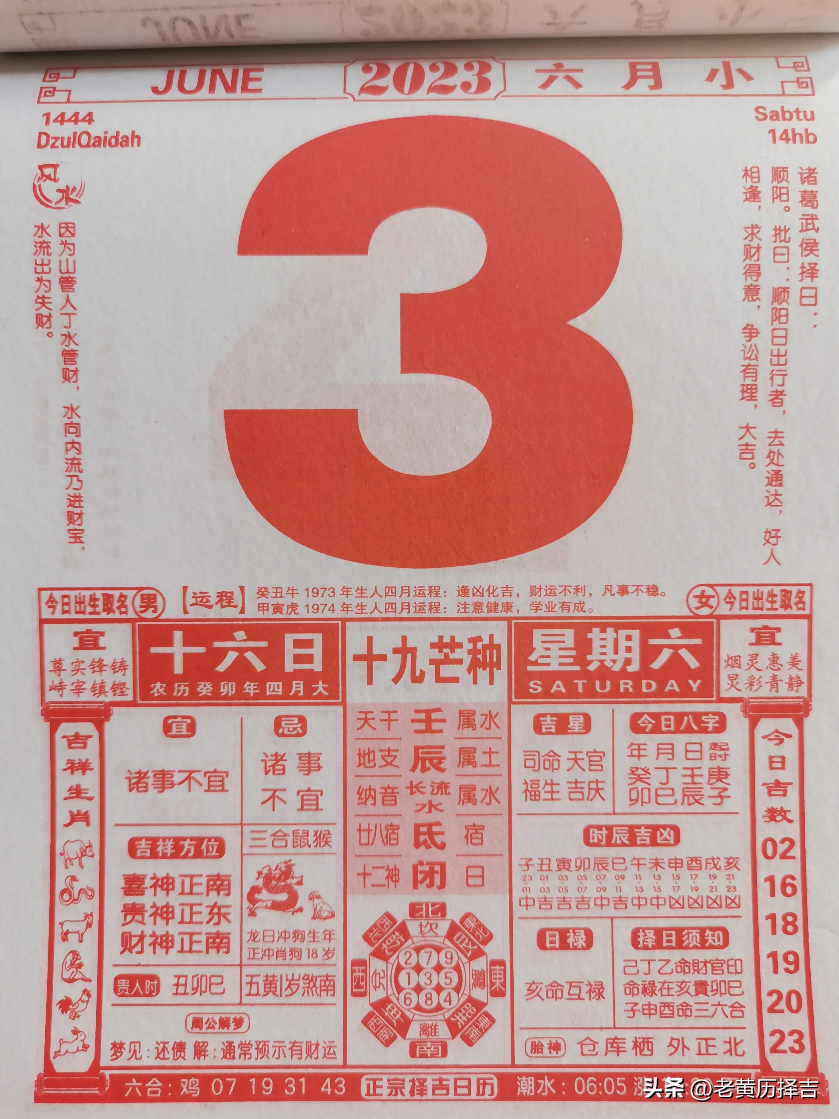 鐚村瓙妫灄鍔ㄧ敾,鐚村瓙妫灄浠嬬粛