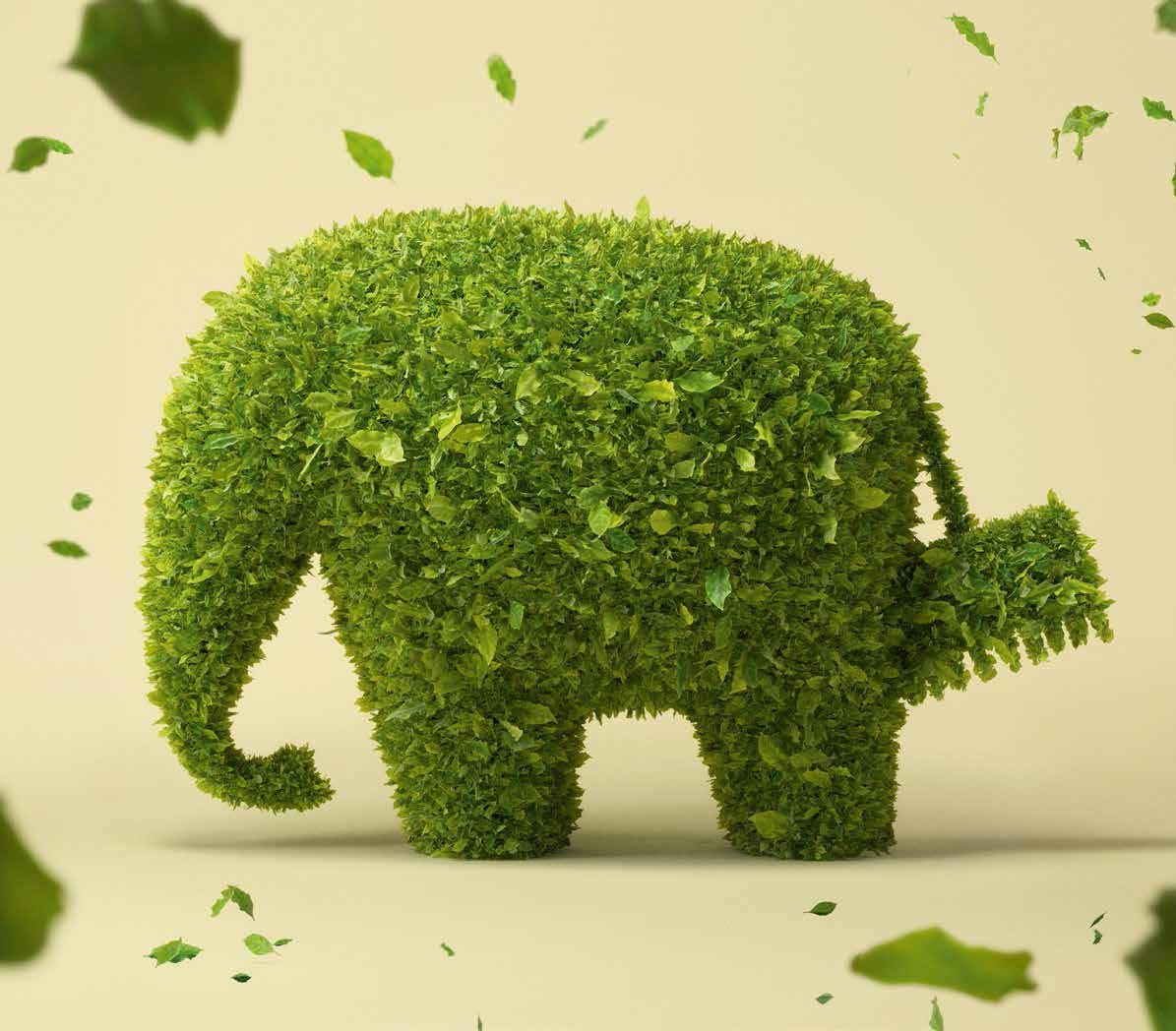 德爱威抗菌防霉漆,德爱威质感涂料