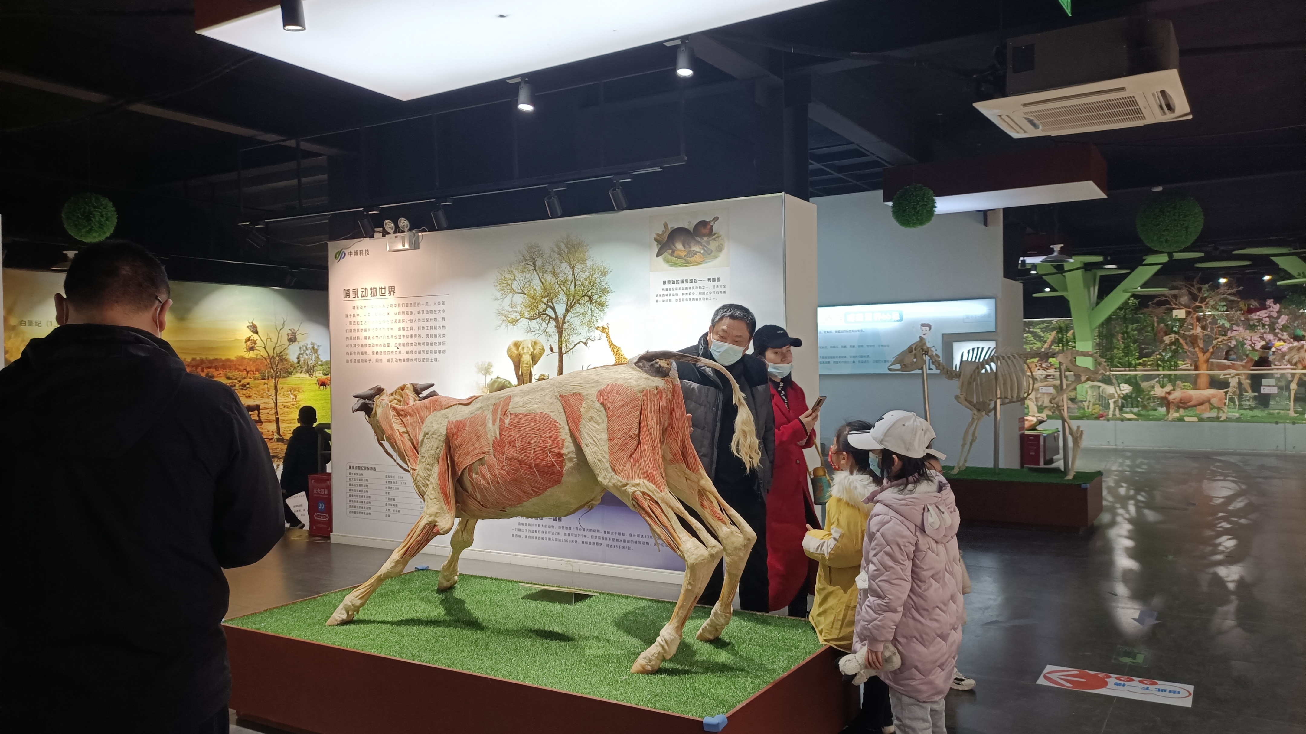 郑州周边遛娃自驾一日游,郑州北部秋季遛娃免费景点