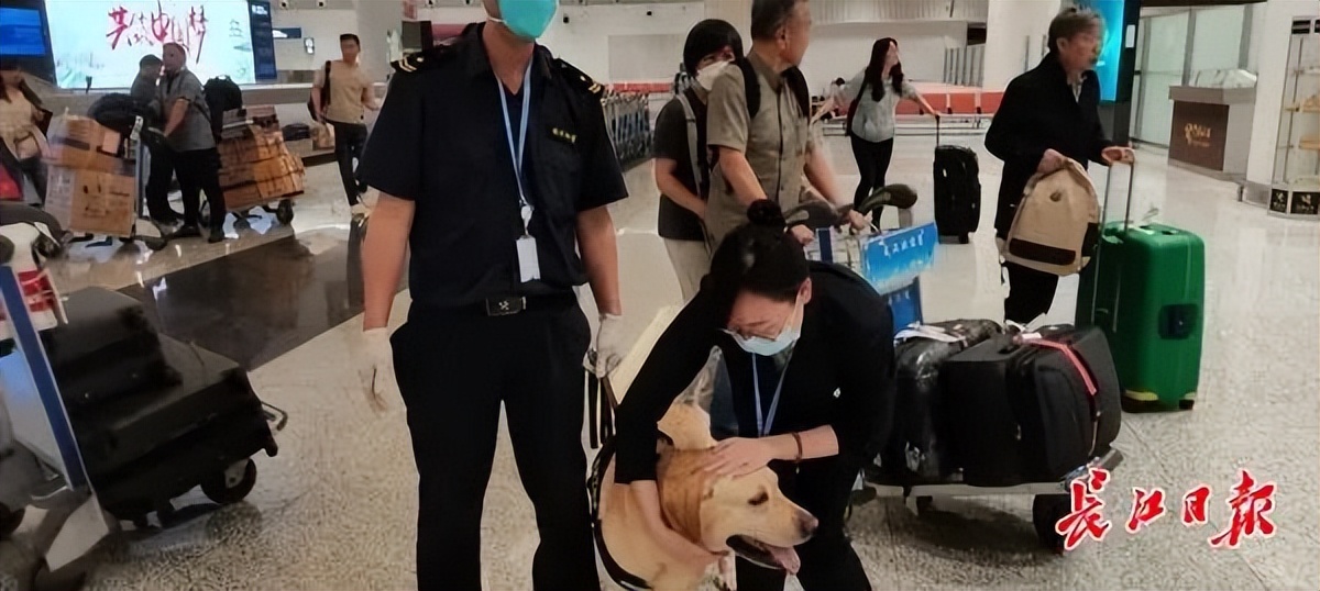 给我们的“拉菲”找个好人家