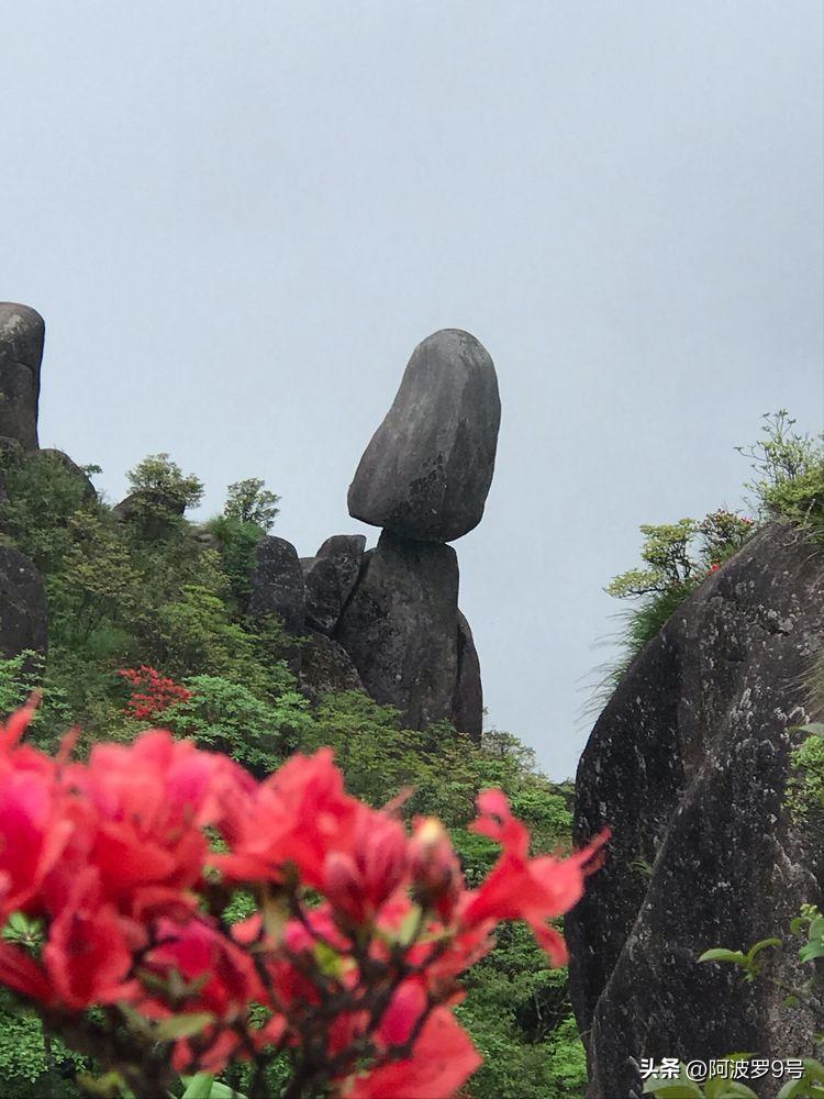 五府岗：华东第三高峰，有一条许多人还不知道的登顶路线