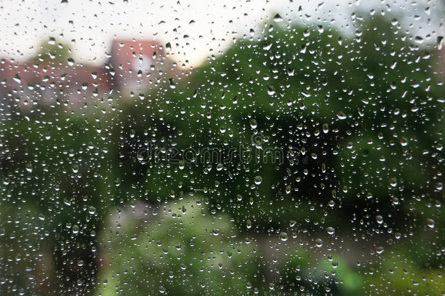 55岁单身大叔,五十五岁的单身大叔