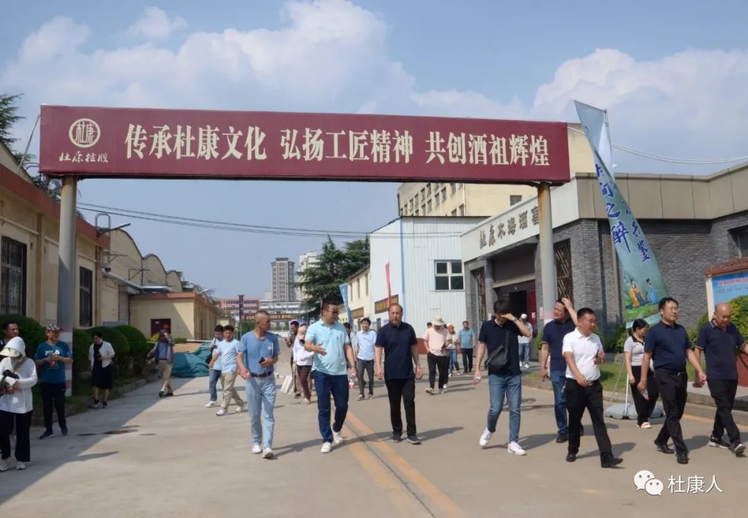 杜康酒厂参观,杜康酒业的参观