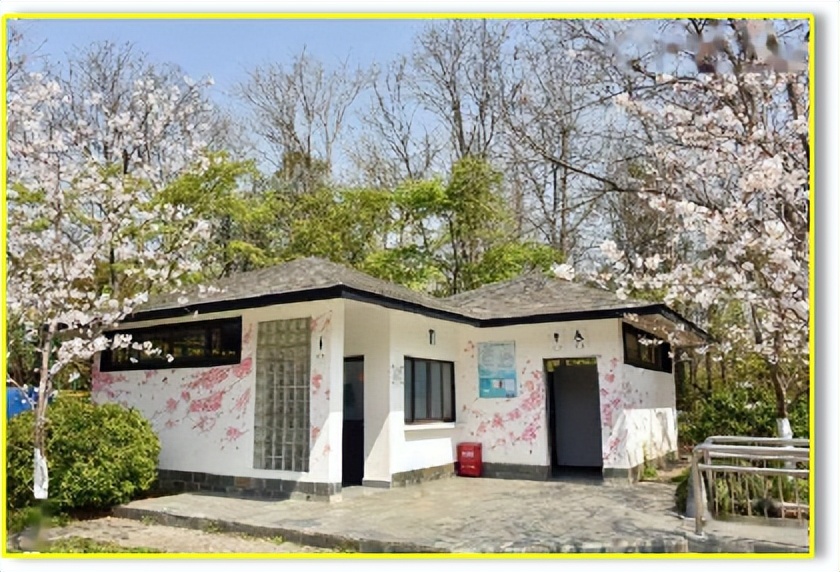 公厕使用说明,公厕常识直播