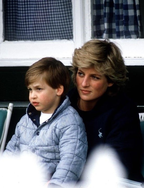 威廉王子正装,威廉王子岁月的痕迹