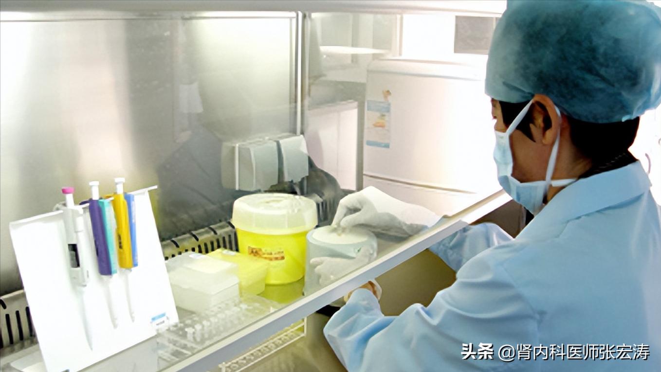 如何解读医学检验单之尿常规,尿常规检验报告单解读