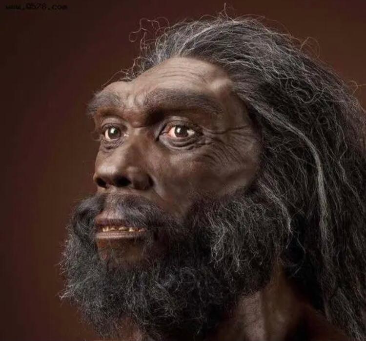 古代埃及女人剃光头,历史上的埃及艳后