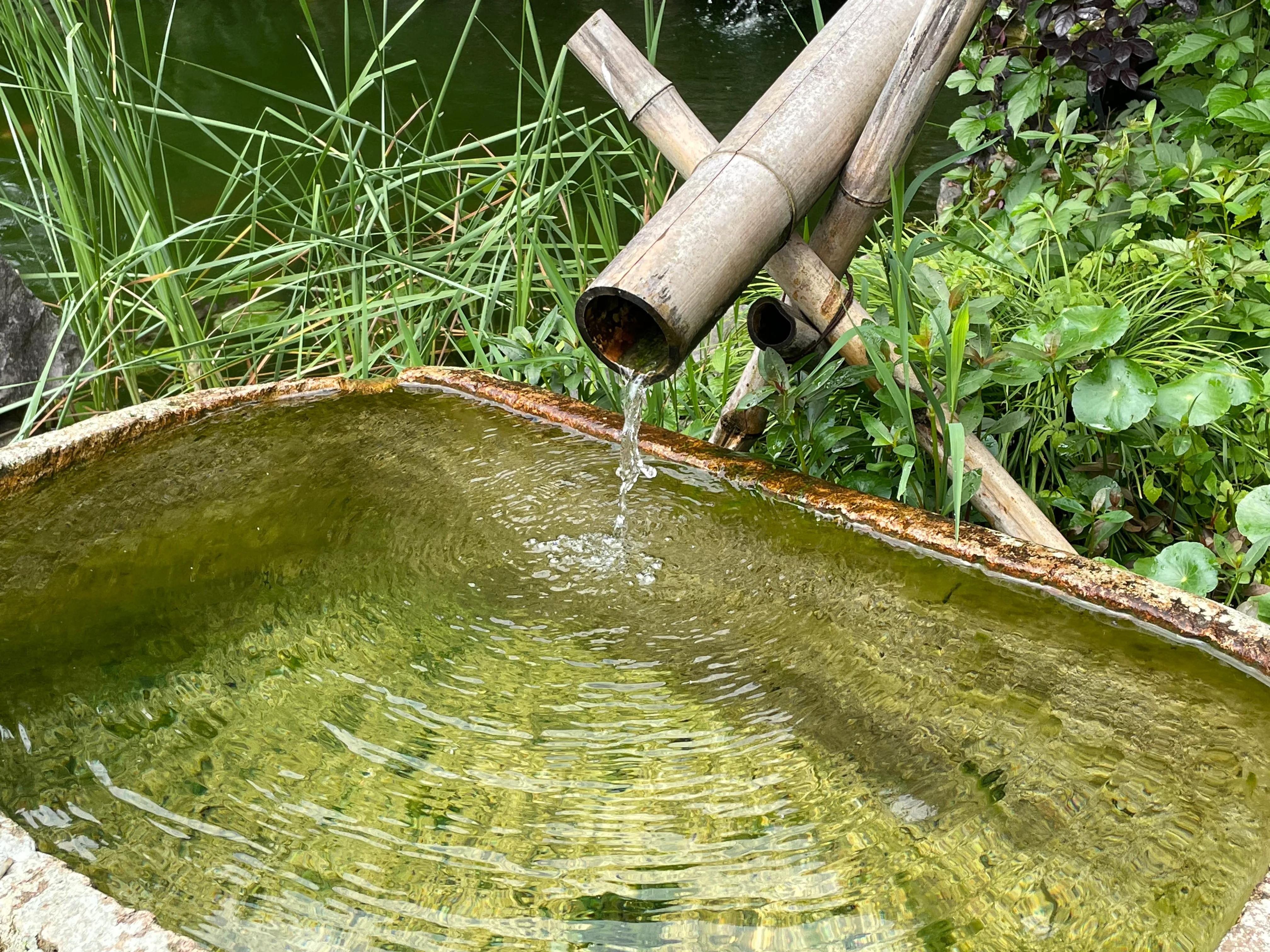 永福寺简介,永福寺诗词