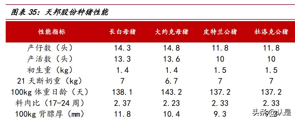 生猪养殖行业研报,生猪养殖企业盈利预期预测