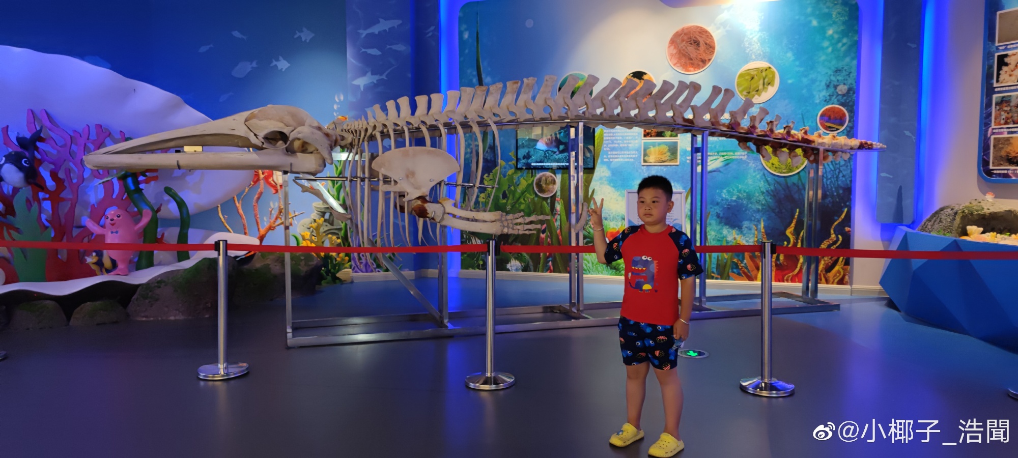 暑假十天山东半岛沿海亲子自驾游记，有详细花费记账