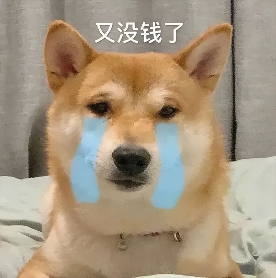 鐨囧鐚伯鑳戒笉鑳戒拱,涓嶆兂涔板搧鐗岀殑鐚伯