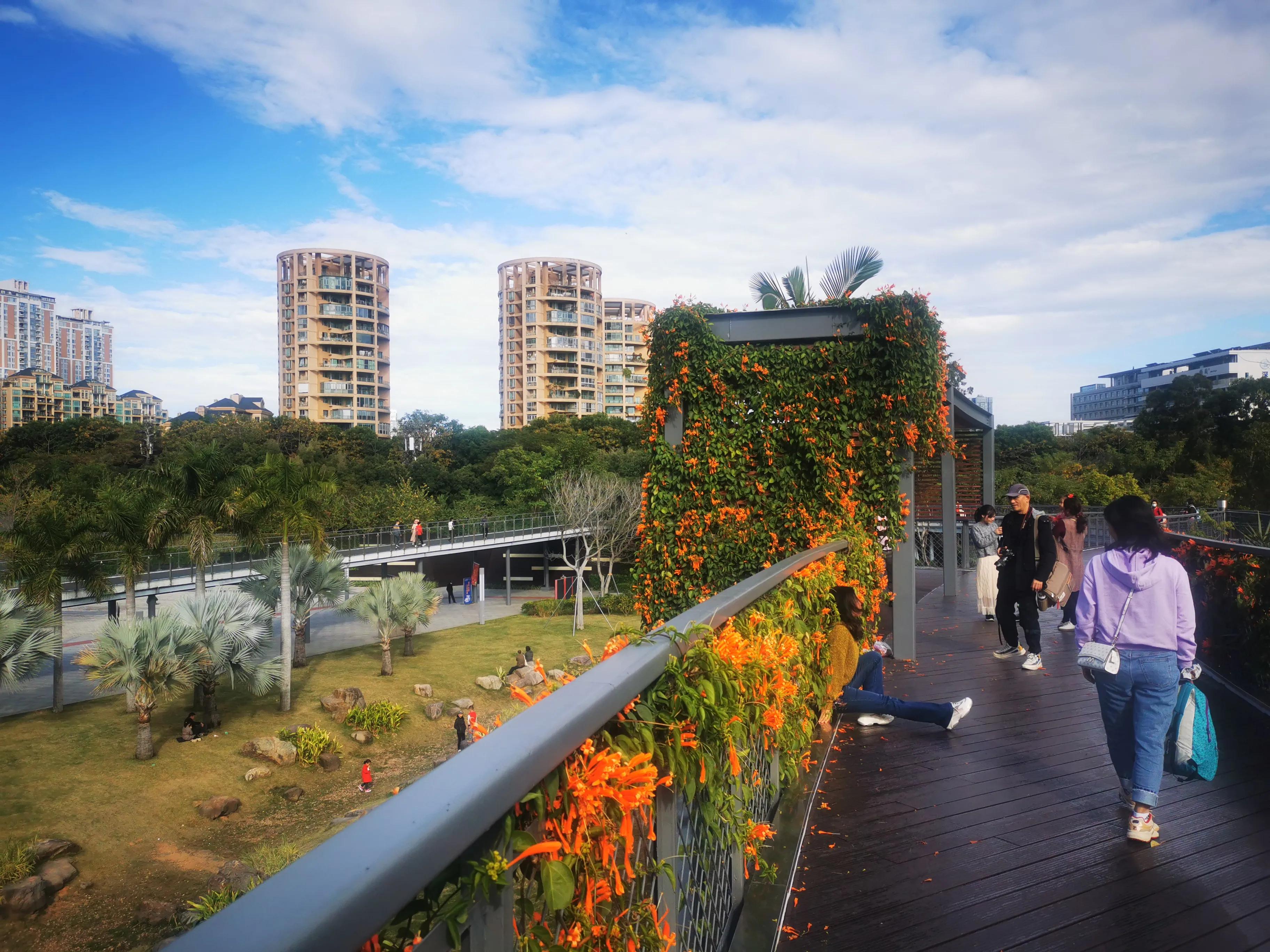 这才是深圳最值得打卡的十大景区,深圳莲花山公园赏花打卡地推荐