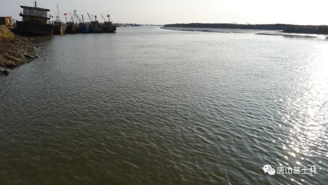 蚕沙口，一个记载着唐山海洋故事的小渔村