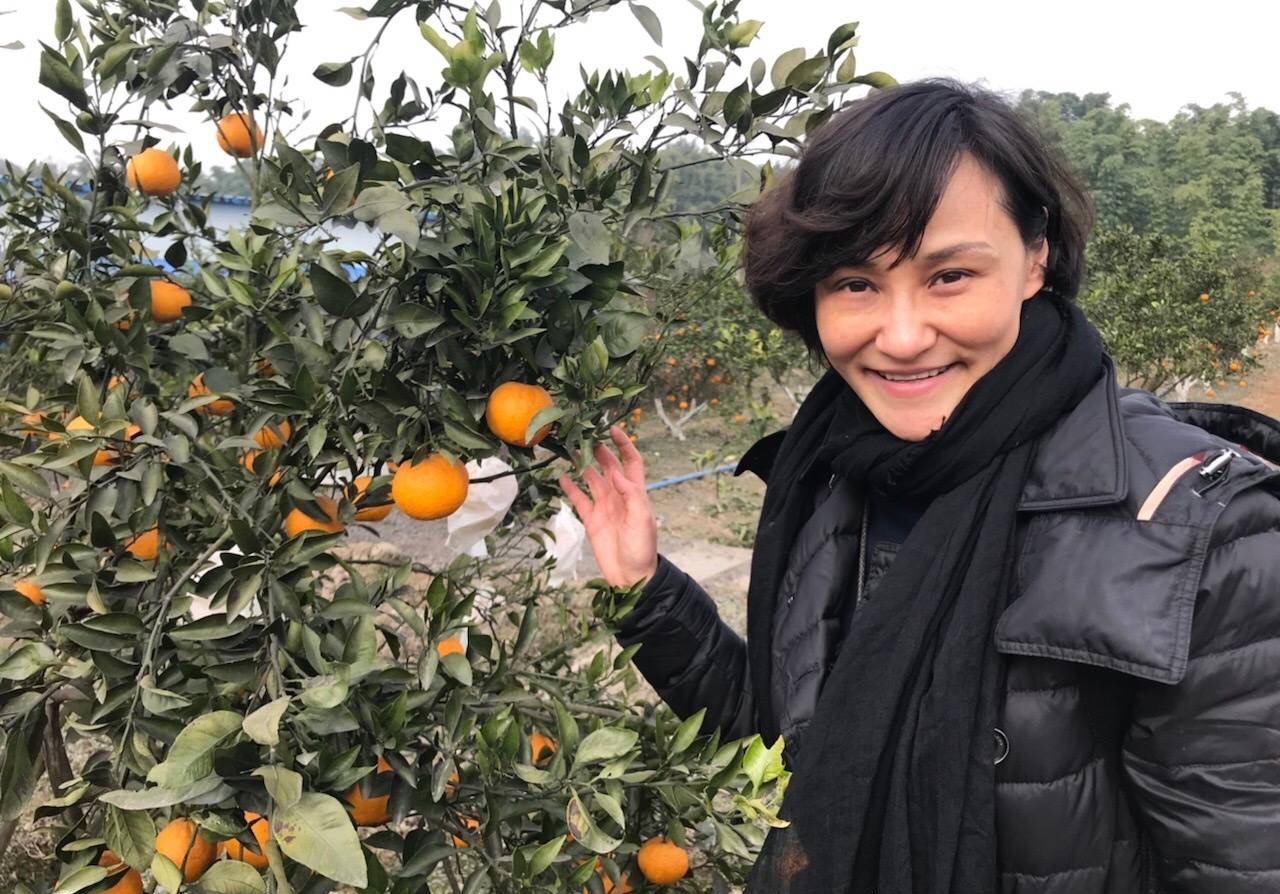 跳水女皇高敏一年多少岁,跳水女皇高敏现在怎么样