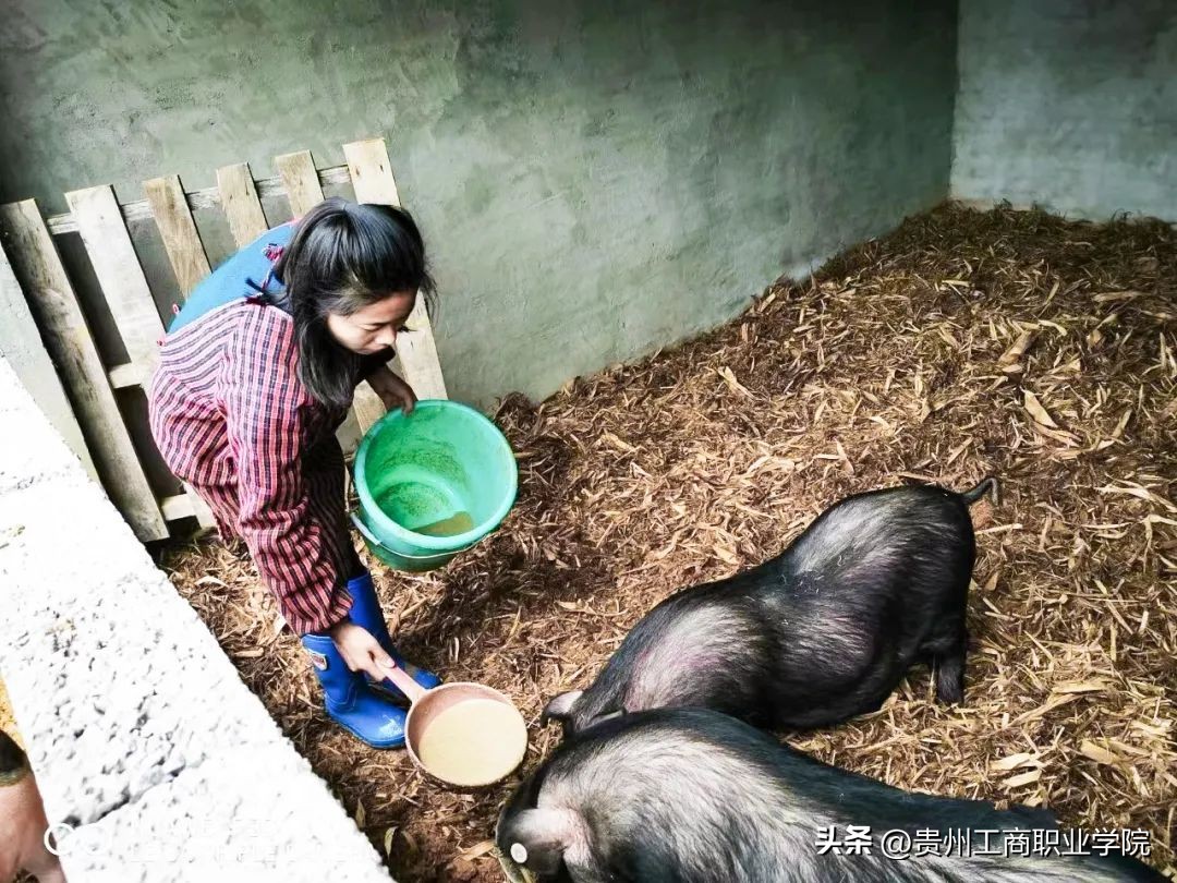 贵州工商职业学院出来的人才,贵州工商职业学院创新创业