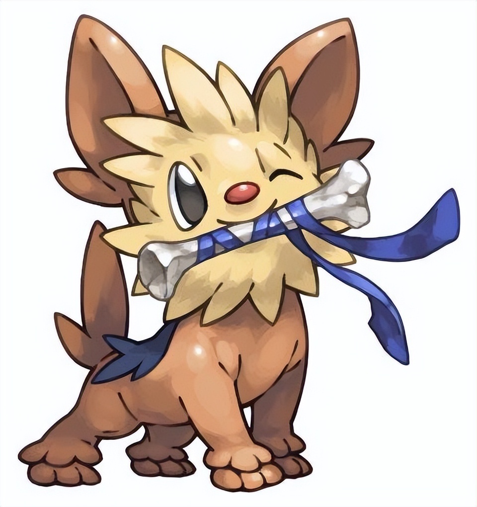 目标是一般系宝可梦大师！家门宠介绍之家门鼠篇