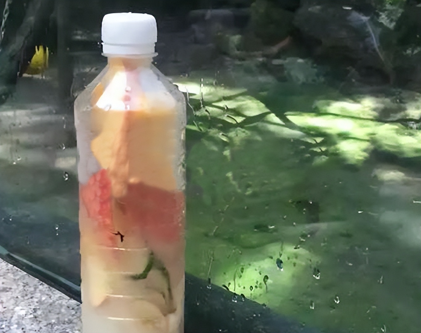 国字形脸的猴子,国字脸和络腮胡的猴子