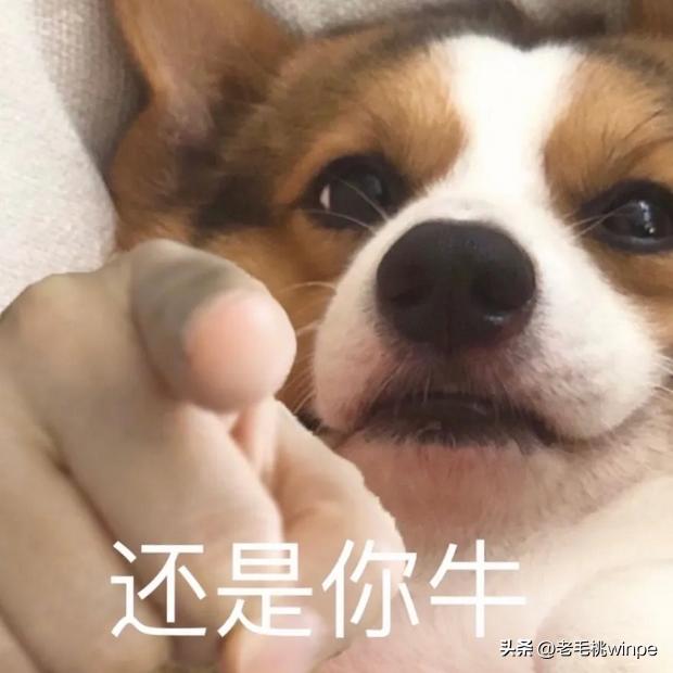 免安装手机root,安卓手机如何弄一键双系统