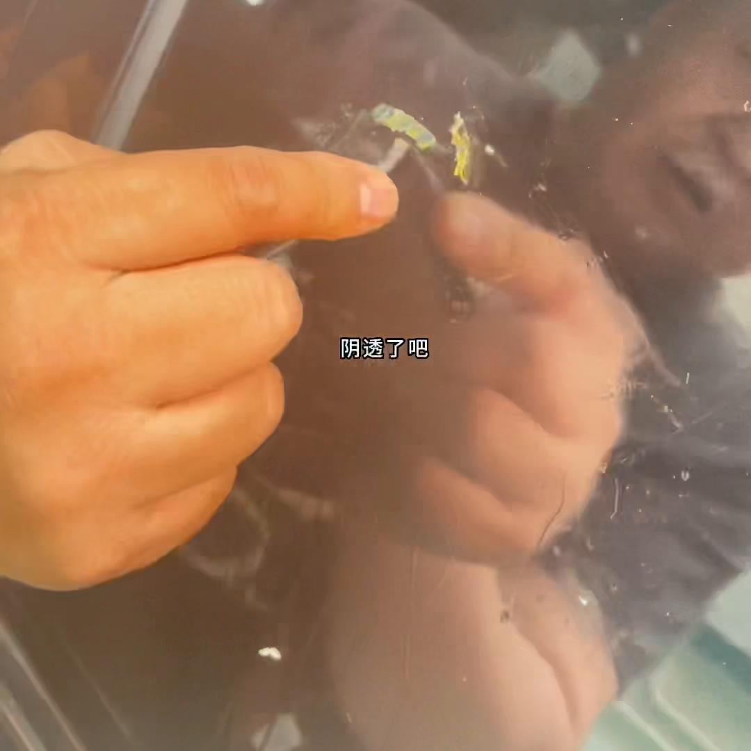 双面胶粘不住只会反弹该怎么办,双面胶撕下来后黏黏的怎么办