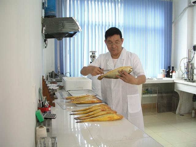 大黄鱼捕捞情况,浙江渔民一网捕4000斤大黄鱼