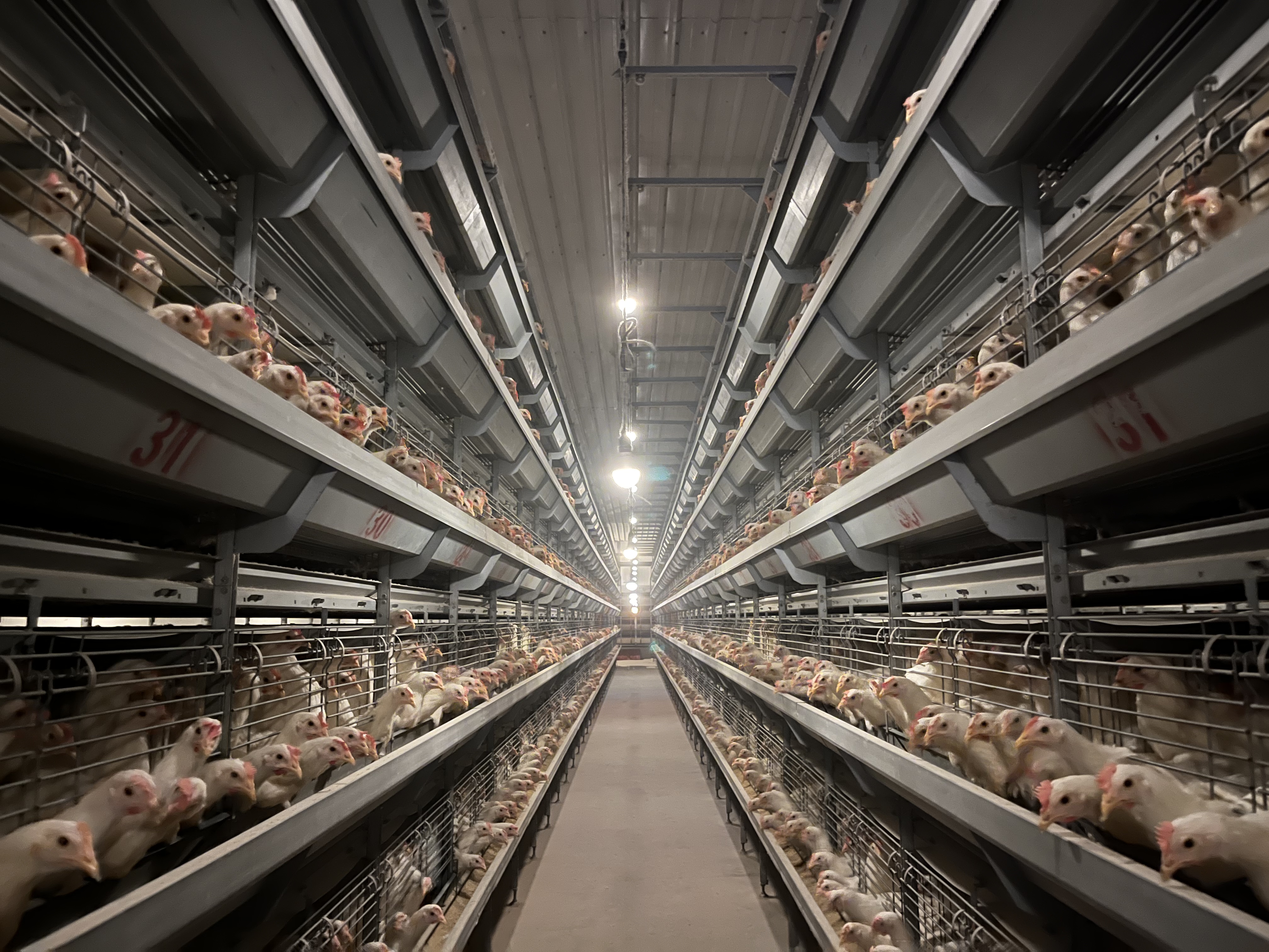 绵阳梓潼县最新规划,绵阳梓潼县城最新规划