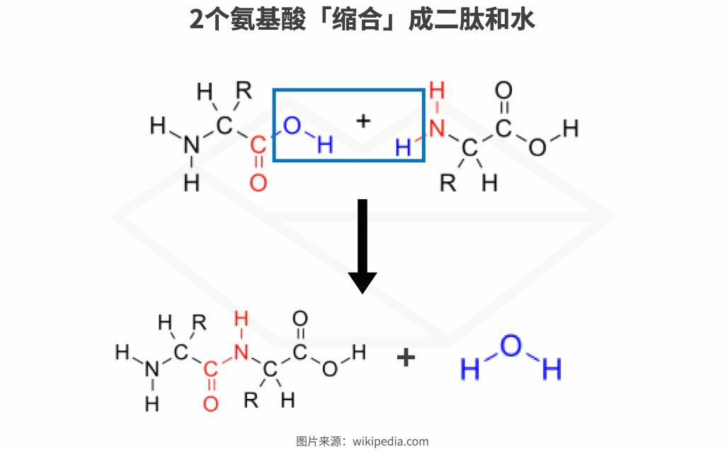 全球最火抗老成分大盘点，全在这里！体验平价抗衰