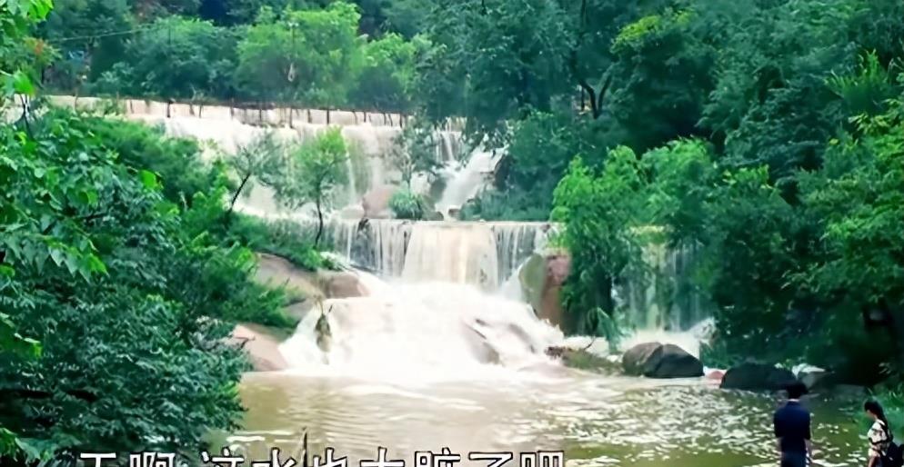 手撕*袜丝**，筷子夹胸，这些辣眼睛的镜头，实在是让人忍无可忍！