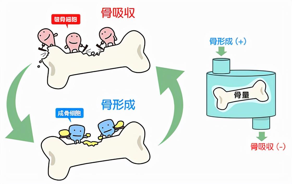 骨质疏松多长时间查一次骨密度,骨质疏松骨密度减少吃什么药