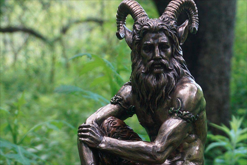 日本农场黑羊学人类行走真相,一个黑羊把母鸡引到房子里吃掉