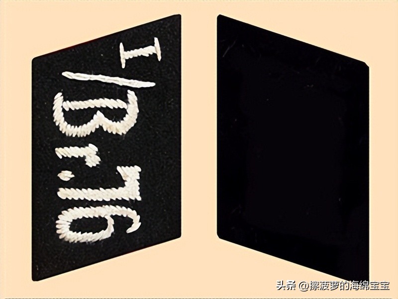 纳粹冲锋队用的什么枪,纳粹德军军衔图解