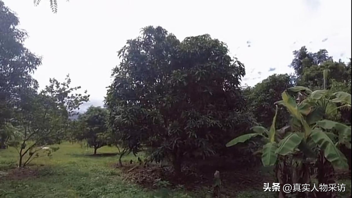 泰国真实的家庭生活,中国人在泰国容不容易娶老婆