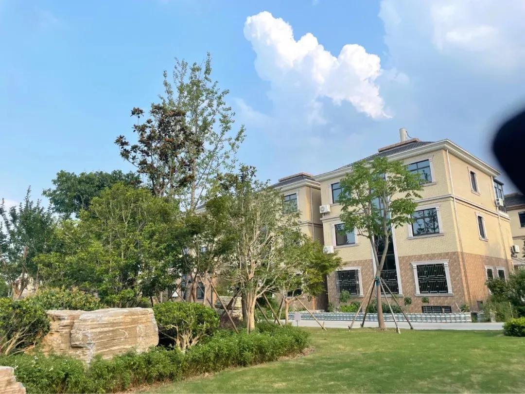 痛心的购房经历,嘉兴买房后悔的真实感受