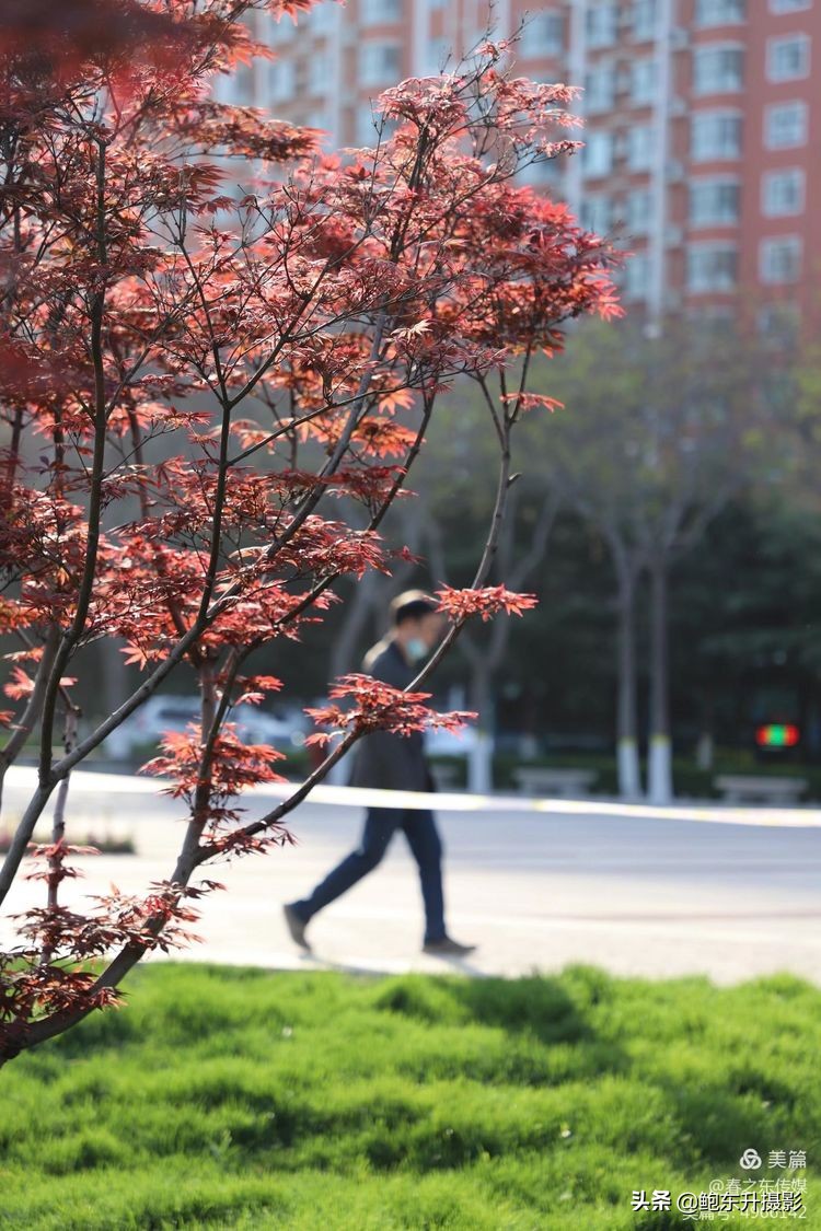 清晨的公园静态美和动态美,运城体育公园夜间灯光