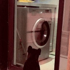 上课衣服穿反怎么办,上课忘记穿裤子该怎么办