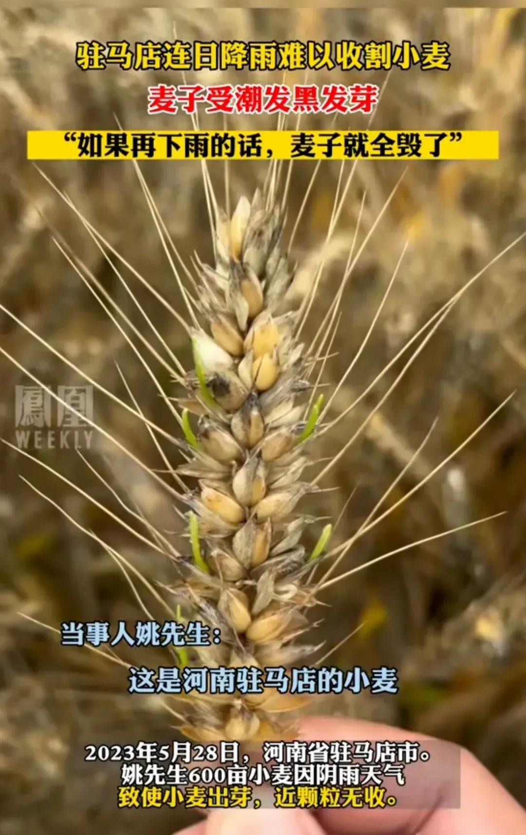 承包10000亩土地种粮食能挣钱吗,承包1000亩农田能赚多少