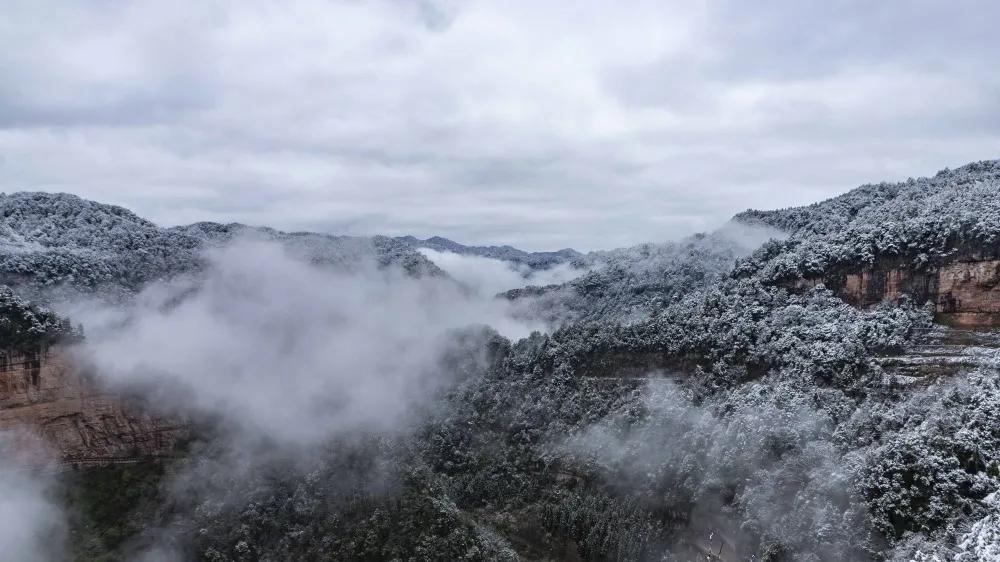 下雪了看美景,下雪啦看窗外的风景