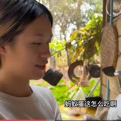 莎莎翻译,莎莎英语翻译