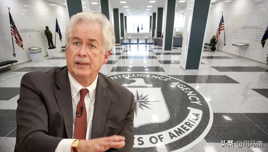 司马南蚁力神事件真相,司马南遭攻击