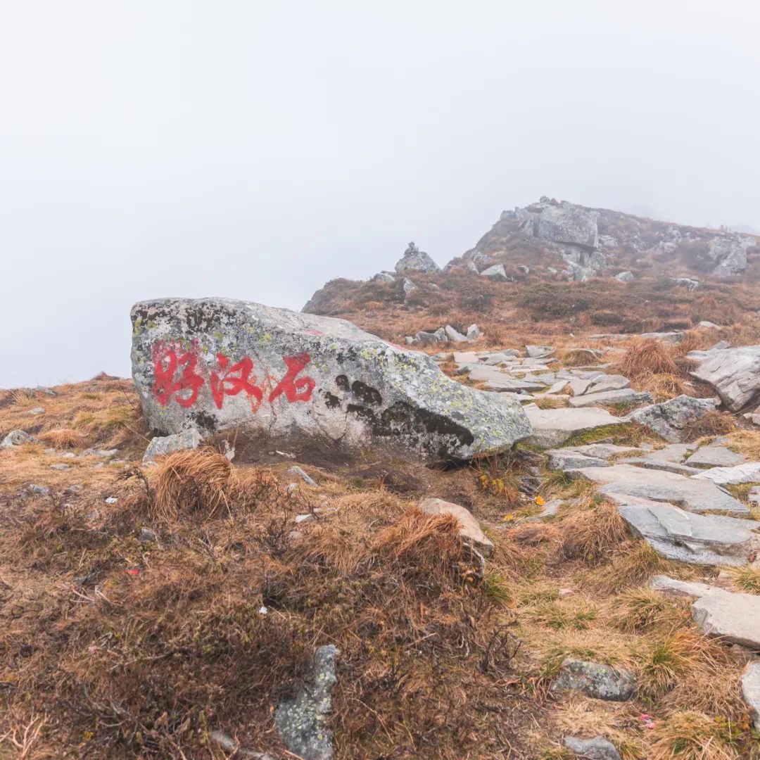 登太白山感受,太白山景区登顶拔仙台
