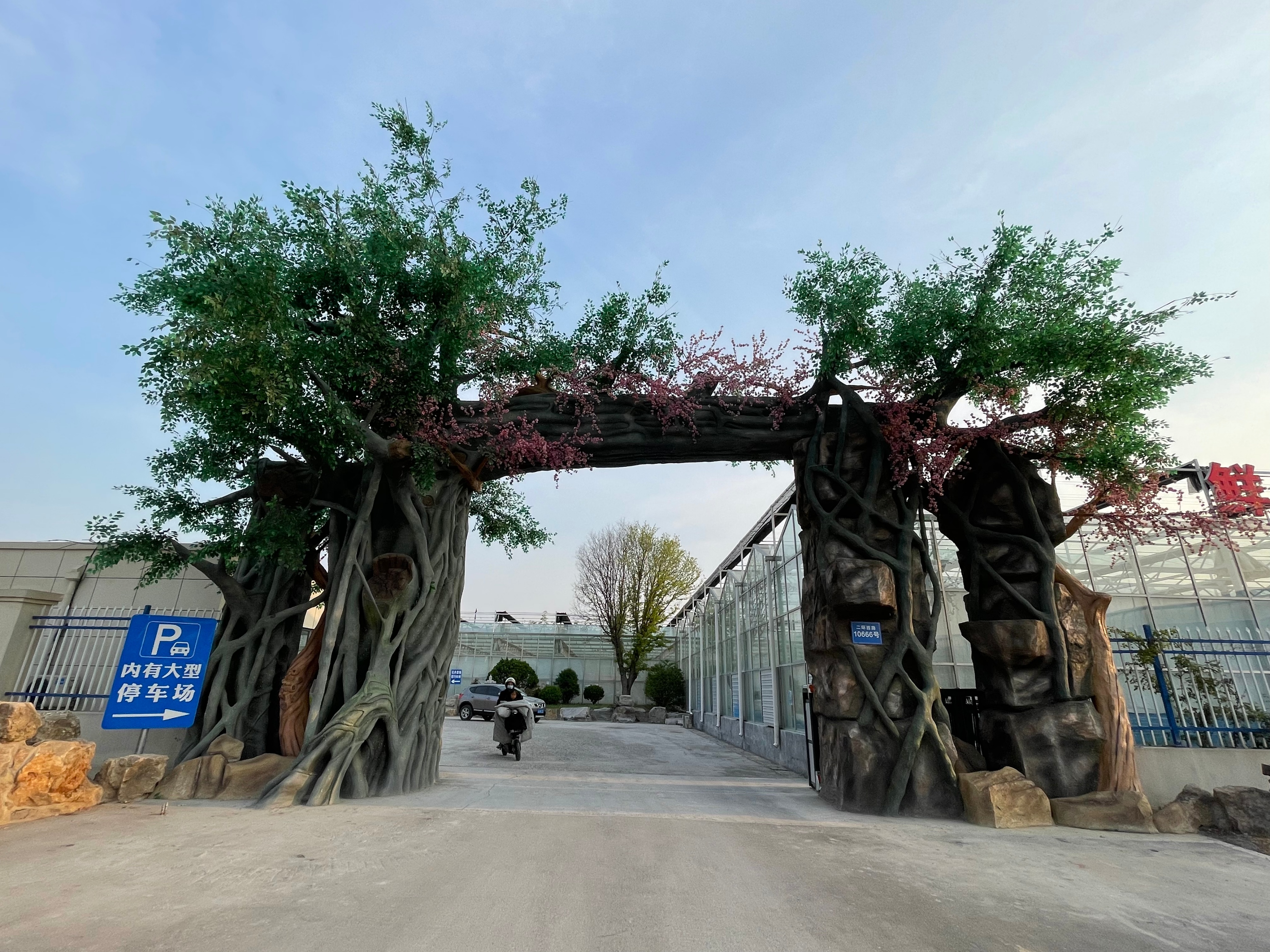 赏花、购花、娱乐，市民自家的小菜园，玉合赢花园中心挺棒