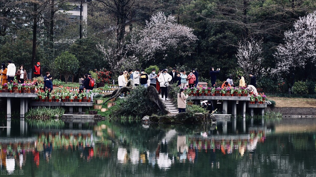 郭进拴神奇的土地,郭进拴作品大全