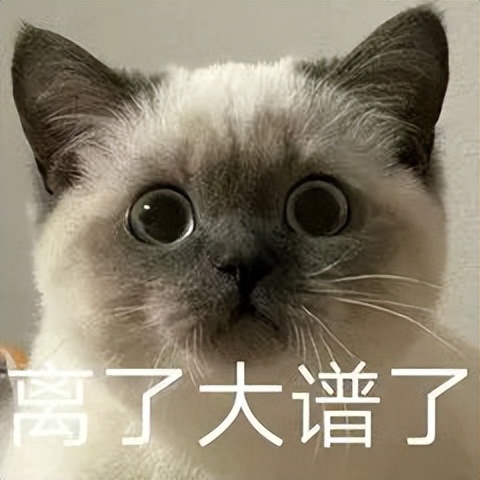 涉密文件资料各环节保密管理情况,涉密人员保密管理指南全文