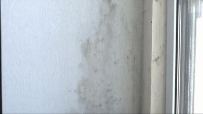 瓷砖缝发霉变黑怎么去除,瓷砖缝发霉清洗用什么擦