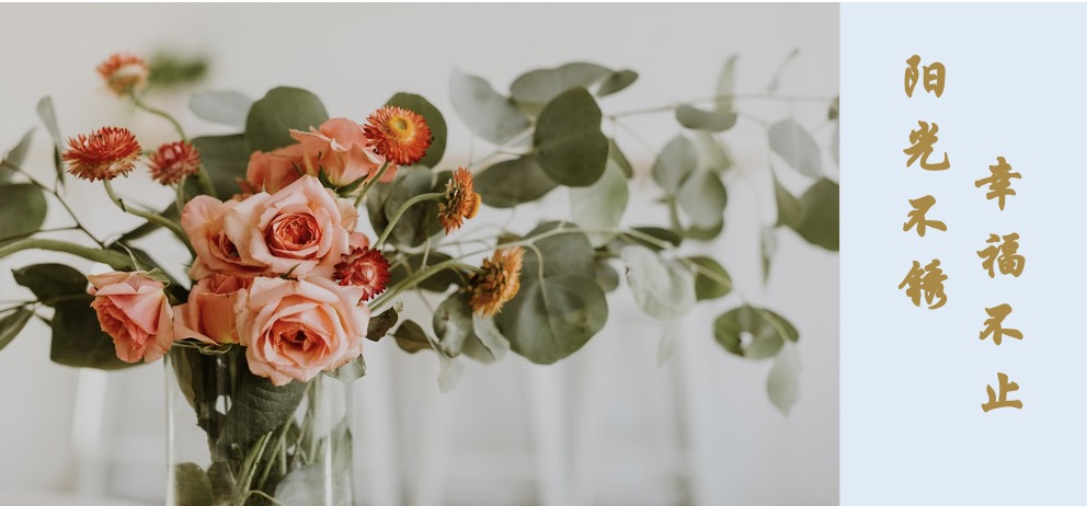 我们为什么要过一样的人生,为什么我的人生跟别人的不一样